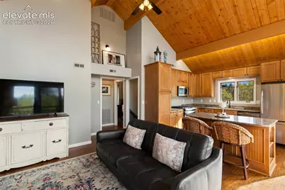 307 Berylium Road, Florissant, CO 80816 - Photo 10