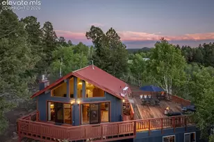 307 Berylium Rd, Florissant, CO 80816 - Photo 38