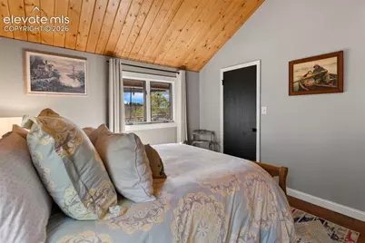 307 Berylium Road, Florissant, CO 80816 - Photo 20