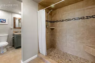 307 Berylium Rd, Florissant, CO 80816 - Photo 30