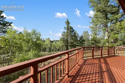 307 Berylium Road, Florissant, CO 80816 - Photo 46