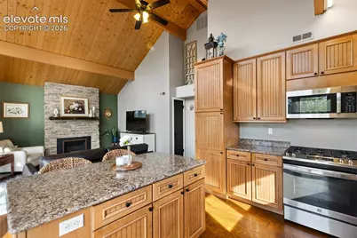 307 Berylium Road, Florissant, CO 80816 - Photo 16