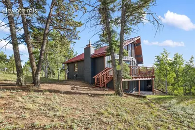 307 Berylium Road, Florissant, CO 80816 - Photo 44