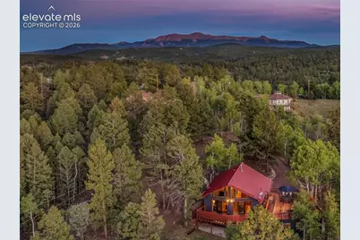 307 Berylium Road, Florissant, CO 80816 - Photo 42