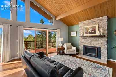 307 Berylium Road, Florissant, CO 80816 - Photo 8