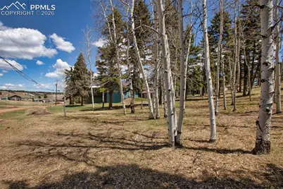 571 Will Scarlet Drive, Divide, CO 80814 - Photo 1