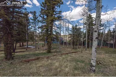 571 Will Scarlet Drive, Divide, CO 80814 - Photo 2