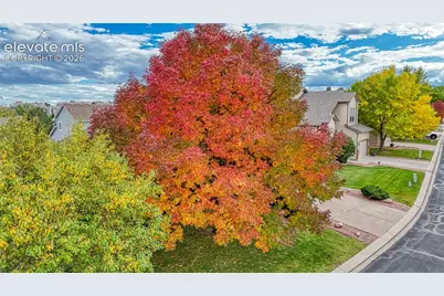 6155 Perfect View, Colorado Springs, CO 80919 - Photo 4
