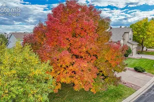 6155 Perfect View, Colorado Springs, CO 80919 - Photo 4