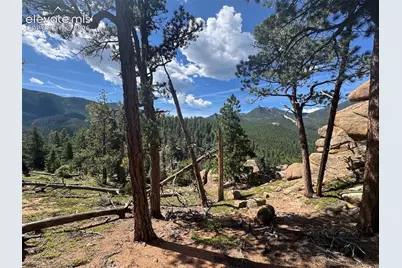 3620 Simon Point, Colorado Springs, CO 80906 - Photo 34