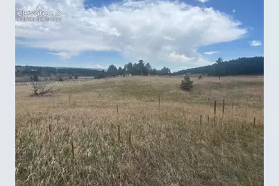 3615 Summertime Court, Monument, CO 80132 - Photo 6