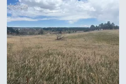 3615 Summertime Court, Monument, CO 80132 - Photo 8