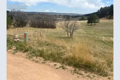 3615 Summertime Court, Monument, CO 80132 - Photo 10