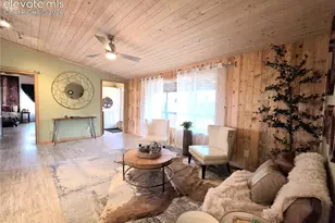 891 S Mountain Estates Rd, Florissant, CO 80816 - Photo 10