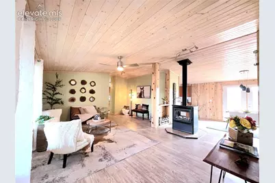 891 S Mountain Estates Road, Florissant, CO 80816 - Photo 10