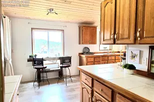 891 S Mountain Estates Rd, Florissant, CO 80816 - Photo 18