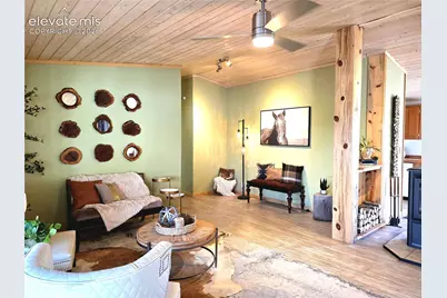 891 S Mountain Estates Road, Florissant, CO 80816 - Photo 8