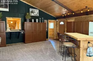 269 Southpark Rd, Florissant, CO 80816 - Photo 10