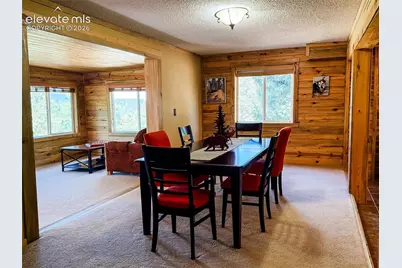 269 Southpark Road, Florissant, CO 80816 - Photo 22