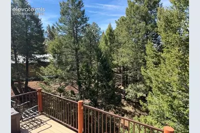 269 Southpark Road, Florissant, CO 80816 - Photo 32
