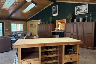269 Southpark Rd, Florissant, CO 80816 - Photo 20