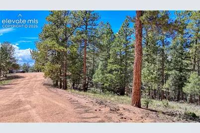 105 Carlton Circle, Florissant, CO 80816 - Photo 6