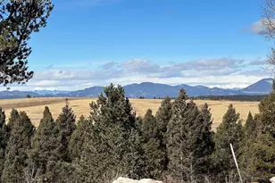 4600 Elk Vly Rd, Divide, CO 80814 - Photo 1