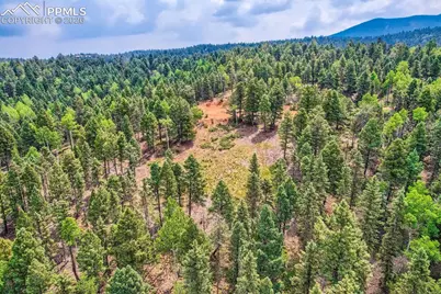 4600 Elk Valley Road, Divide, CO 80814 - Photo 12