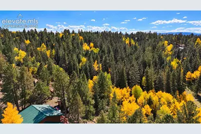 11 Nebraska Circle, Florissant, CO 80816 - Photo 4