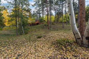 1001 Paradise Valley Dr, Woodland Park, CO 80863 - Photo 30