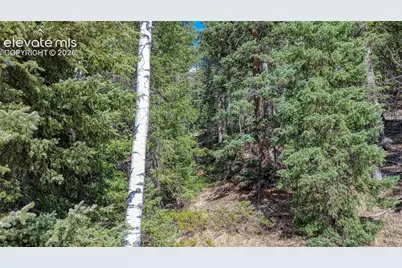 3075 N Mountain Estates Road, Florissant, CO 80816 - Photo 10