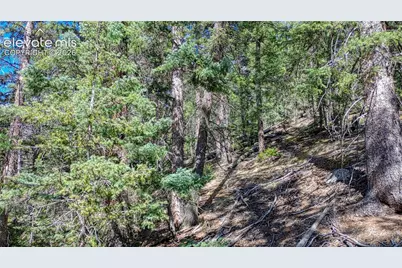 3075 N Mountain Estates Road, Florissant, CO 80816 - Photo 12