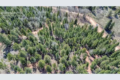 3075 N Mountain Estates Road, Florissant, CO 80816 - Photo 14