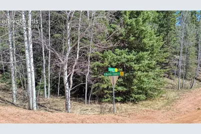 3075 N Mountain Estates Road, Florissant, CO 80816 - Photo 20