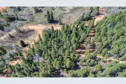 3075 N Mountain Estates Road, Florissant, CO 80816 - Photo 4