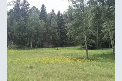 Will Scarlet Drive, Divide, CO 80814 - Photo 6
