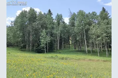 Will Scarlet Drive, Divide, CO 80814 - Photo 2