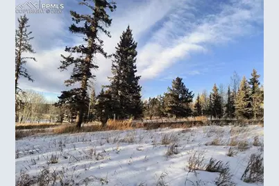 Will Scarlet Drive, Divide, CO 80814 - Photo 22