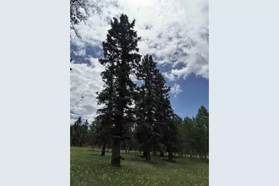 Will Scarlet Drive, Divide, CO 80814 - Photo 14