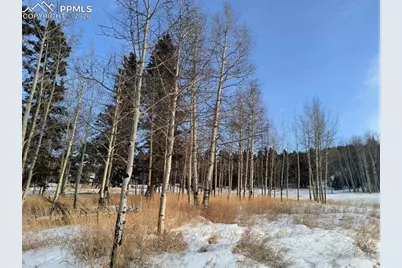 Will Scarlet Drive, Divide, CO 80814 - Photo 16