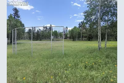 Will Scarlet Drive, Divide, CO 80814 - Photo 10