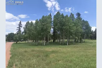 Will Scarlet Drive, Divide, CO 80814 - Photo 4