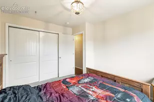 3011 Shikra View, Colorado Springs, CO 80916 - Photo 34