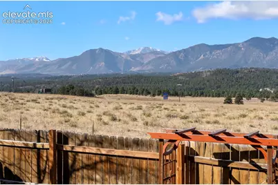 14336 White Peak Drive, Monument, CO 80921 - Photo 28