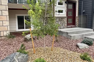 6156 Steele Crk Wy, Colorado Springs, CO 80922 - Photo 2
