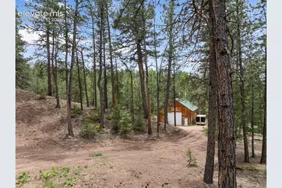 918 Douglas Fir Drive, Woodland Park, CO 80863 - Photo 38