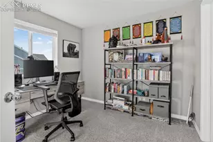 478 Gray Horse Aly, Colorado Springs, CO 80905 - Photo 22