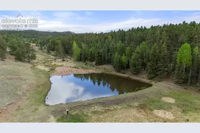 247 Pinewood Road, Florissant, CO 80816 - Photo 4