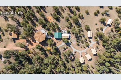 247 Pinewood Road, Florissant, CO 80816 - Photo 6