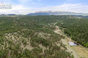 247 Pinewood Rd, Florissant, CO 80816 - Photo 28